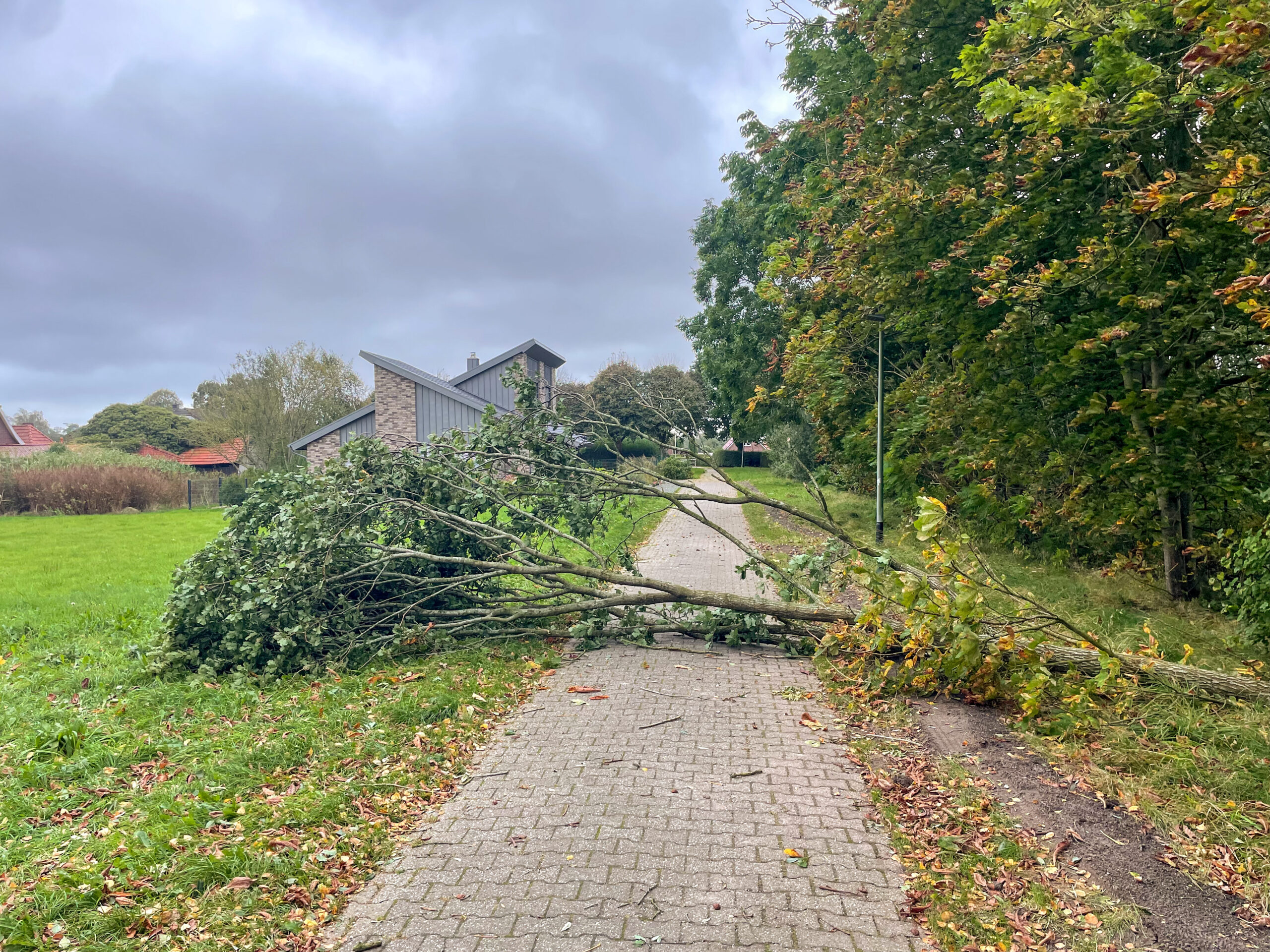 TH_Sturmschaden_klein